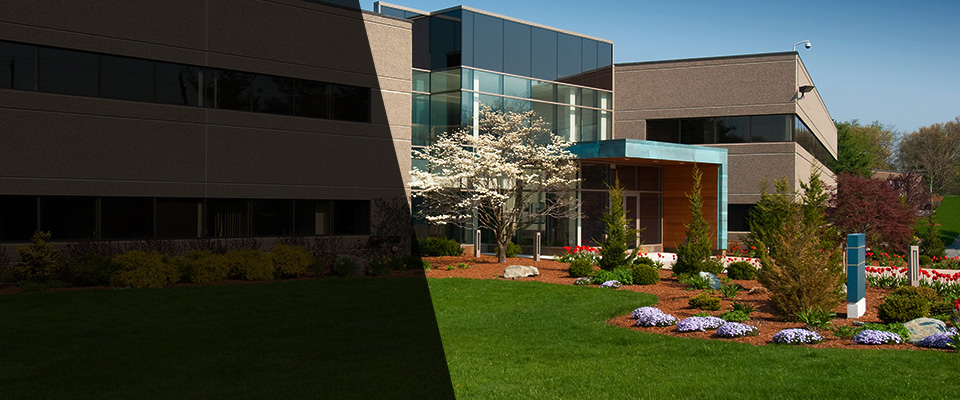 Pamplico Landscapers