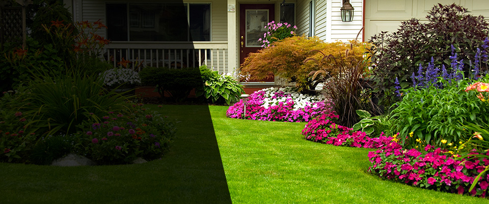Pamplico Landscapers