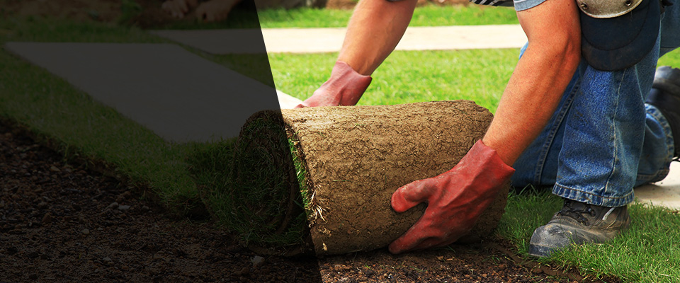 Pamplico Landscapers